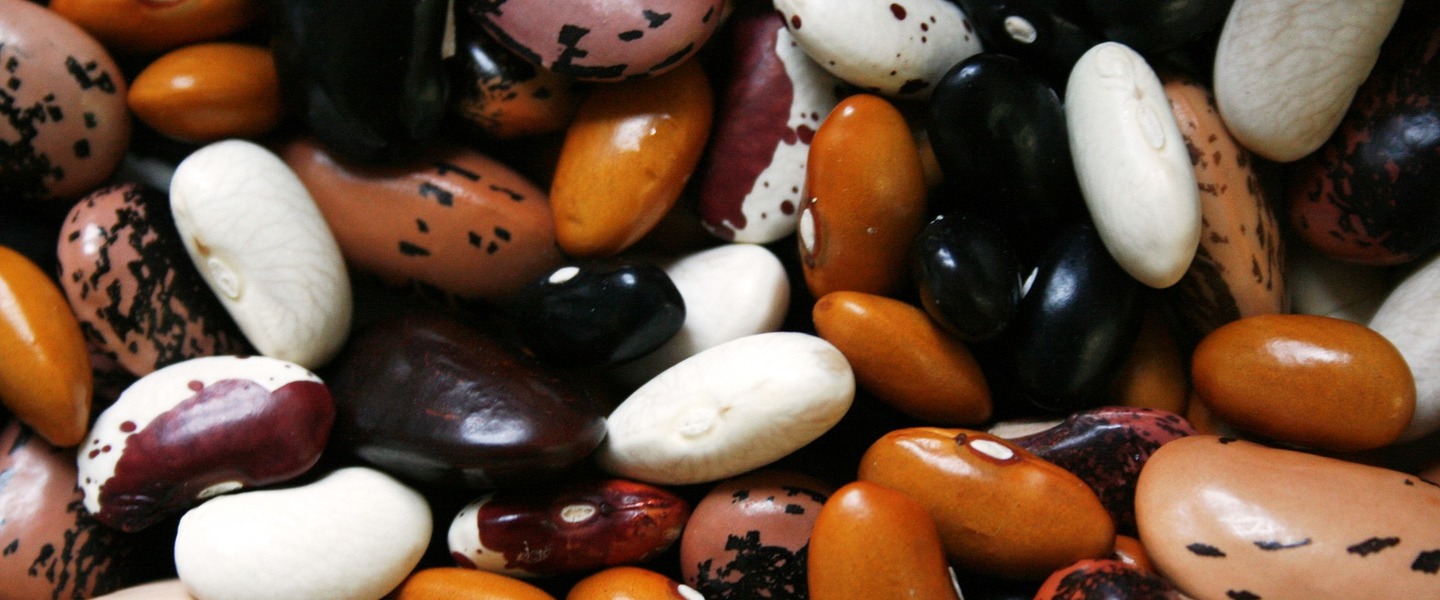 Prepping and Cooking Dry Beans 101